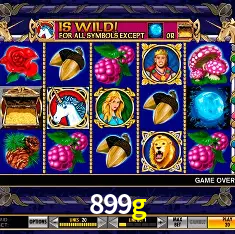 899g Rio de Janeiro - Bonus Terms